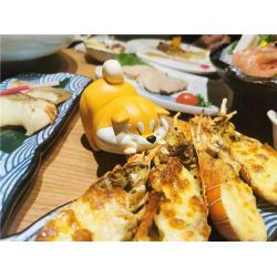 Animal Planet - Shiba Collection 