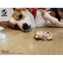 Animal Planet  x Count Blue: Corgi Ring