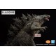 Godzilla vs. Kong - Gojira - Ichiban Kuji - Ichiban Kuji Godzilla vs Kong (A Prize) - Sofvics (Bandai Spirits)