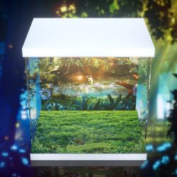 Display Box for Fairy Tale Another: Princess Rose (AOWOBOX)