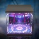 Display Box for Honkai Impact 3rd: Raiden Mei