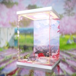 Display Box for Xie Lian: His Highness Who Pleased the Gods (AOWOBOX)