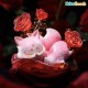 [Blind Box] Ancient Nine Tail Fox Rose Fairy Series