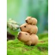 [Blind Box] Animal Heavenly Body Capybara Series