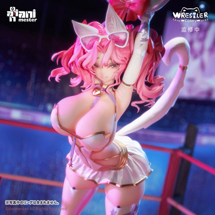 Original Character - NyanNyan Girl Wrestler Casey - 1/6 (AniMester)