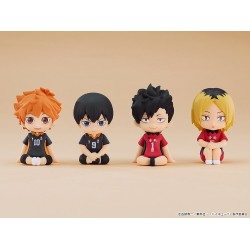 Haikyuu  - Nendoroid Plus: Rubber Mascot Series