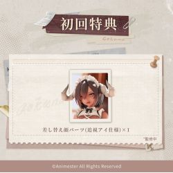 Akuma Maid, Houshi no Jikan Gokuna" 1/6 Complete Figure